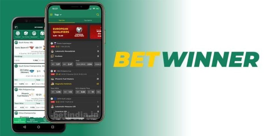 BetWinner An In-Depth Look at the Online Betting Landscape in Vietnam