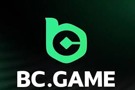 Exploring BC App Features and Functions