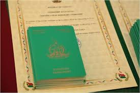 The Cost of Vanuatu Passport Understanding Vanuatu Passport Prices