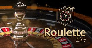 The Rise of Bitcoin Roulette A New Era of Online Gambling